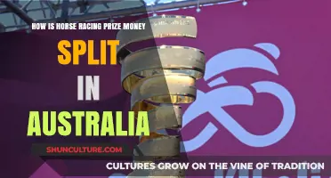 Understanding the Prize Money Split in Australian Horse Racing