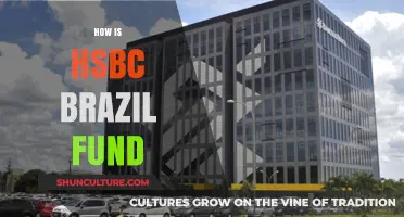 HSBC Brazil Fund: Performance, Strategy, and Investment Insights