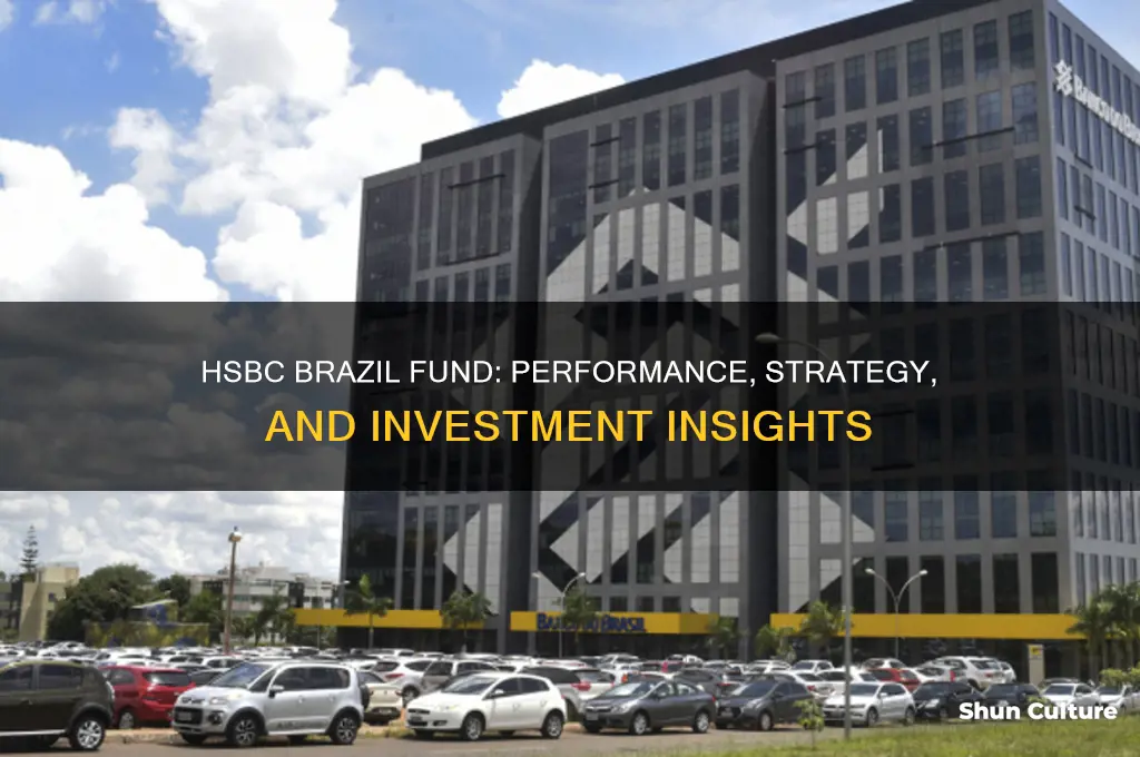 how is hsbc brazil fund