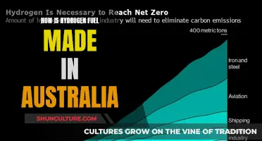 Australia's Hydrogen Fuel: Production Methods and Applications