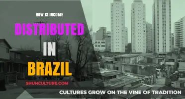 Brazil's Income Distribution: Inequality, Trends, and Socioeconomic Impact Explained
