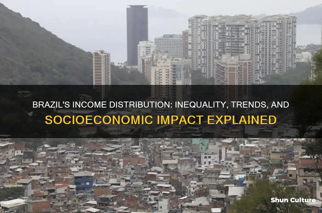 how is income distributed in brazil