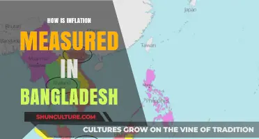 Understanding Bangladesh's Inflation Measurement: Methods, Metrics, and Economic Impact