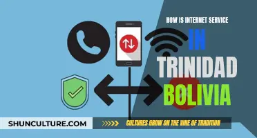 Internet Service in Trinidad, Bolivia: Fast or Slow?