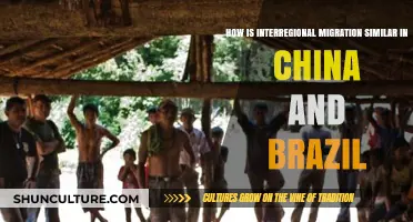 Comparing Interregional Migration Patterns in China and Brazil
