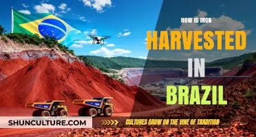 Brazil's Iron Harvest: Extraction Methods and Industry Insights