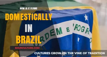 Exploring Brazil's Domestic Flights: Convenience, Challenges, and Travel Tips
