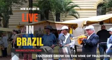 Exploring Life in Brazil: Culture, Challenges, and Daily Joys