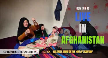 A Life in the Shadows: Surviving in Afghanistan's Turbulent Landscape