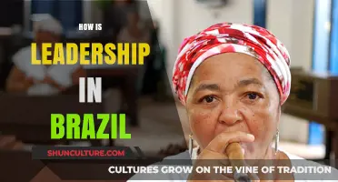 Exploring Brazil's Leadership Dynamics: Culture, Challenges, and Opportunities
