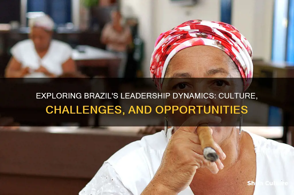 how is leadership in brazil
