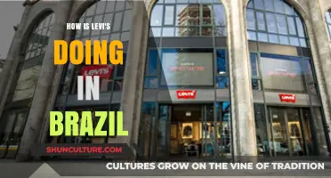 Levi's in Brazil: Market Performance, Challenges, and Growth Strategies