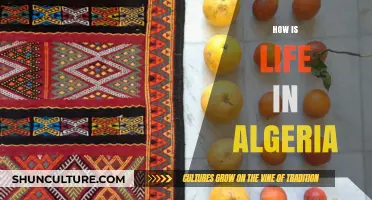 Exploring Algeria: Culture, Daily Life, and Traditions in North Africa