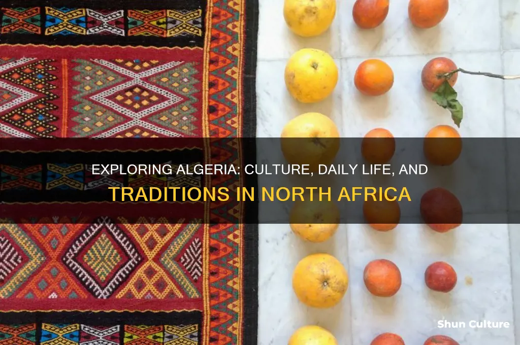 how is life in algeria