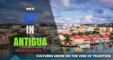 Exploring Antigua: Culture, Lifestyle, and Daily Life in the Caribbean Gem