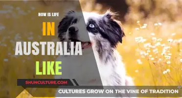 Life Down Under: An Australian Experience