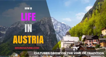 Exploring the Charm: A Guide to Austrian Life