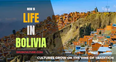 Exploring Bolivia: A Country of Diversity and Wonder