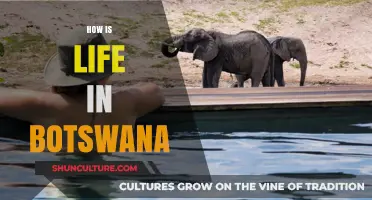 Exploring Botswana: Culture, Wildlife, and Daily Life in Southern Africa