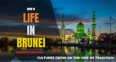 Brunei: A Peaceful and Prosperous Life