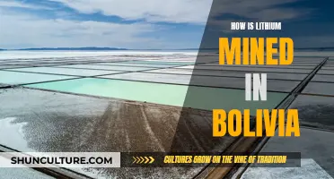 Lithium Extraction in Bolivia: Methods and Impact