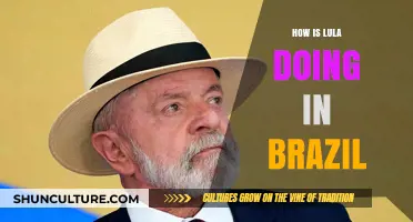 Lula's Leadership: Assessing Brazil's Progress and Challenges Under His Presidency