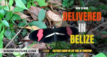 Belize's Unique Mail Delivery System: A Journey Through the Country's Logistics