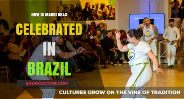 Brazil's Carnival: A Vibrant Mardi Gras Celebration Explained
