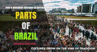 Brazil's Diverse Movement: Regional Variations in Dance and Transportation