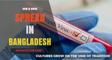 Understanding Nipah Virus Transmission in Bangladesh: Causes and Prevention
