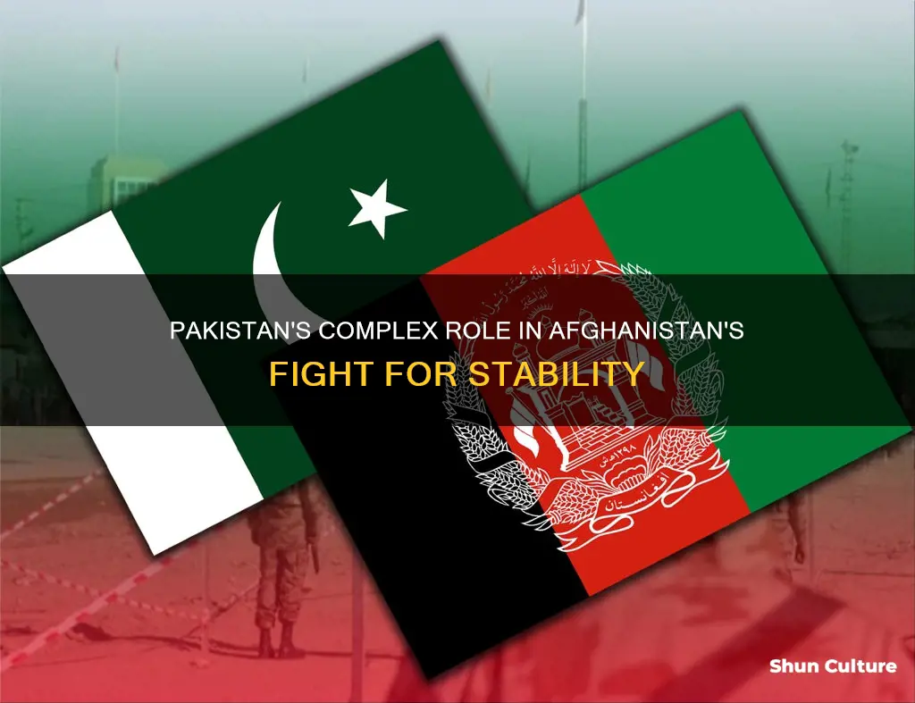 how is pakistan affecting afghanistan fight