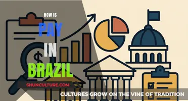 Understanding Brazil's Salary Structure: A Comprehensive Guide to Pay in Brazil