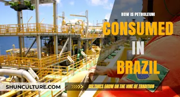 Brazil's Petroleum Consumption: Key Sectors and Energy Trends