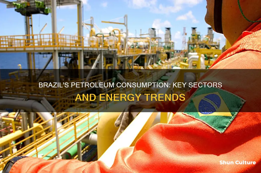 how is petroleum consumed in brazil