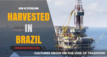 Brazil's Petroleum Extraction: Techniques and Processes in Oil Harvesting