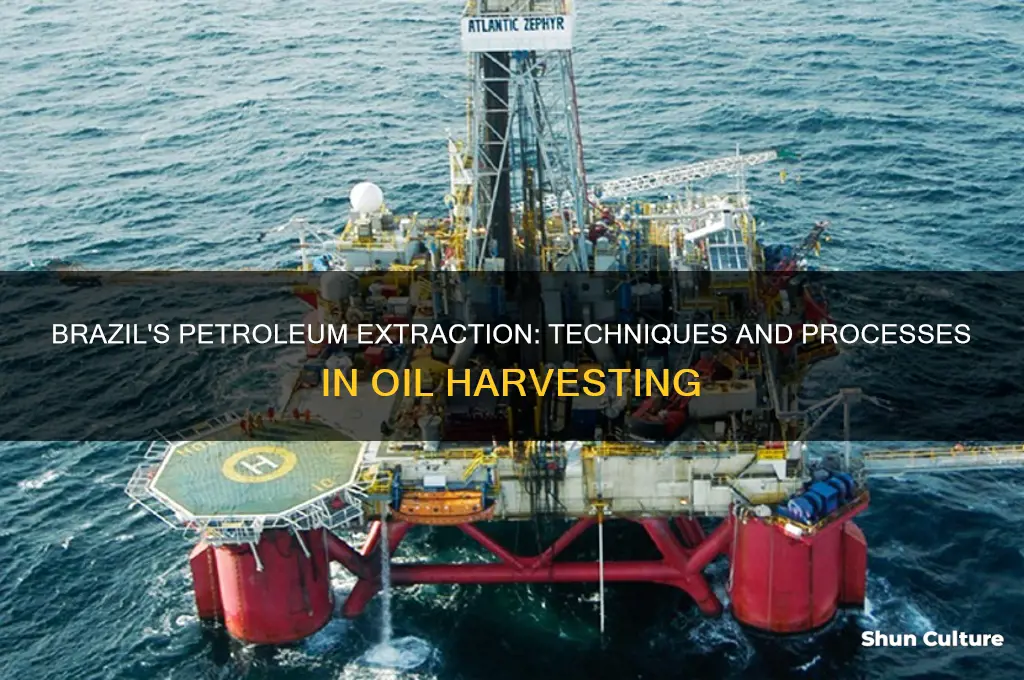 how is petroleum harvested in brazil