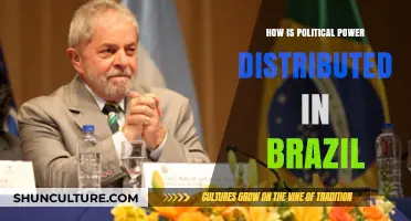 Brazil's Political Power: Distribution, Dynamics, and Federal Influence