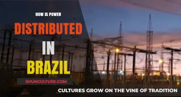 Brazil's Power Dynamics: Understanding Distribution Across Federal, State, and Local Levels
