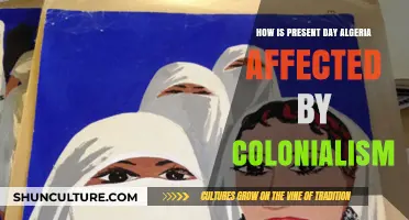 Colonialism's Shadow: Present-Day Algeria's Struggles and Resilience