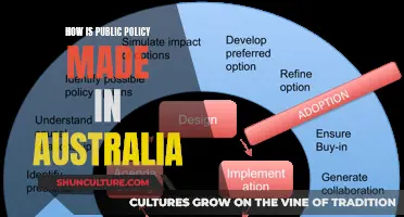 Policy-making in Australia: Who, What, and How?