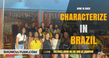 Race in Brazil: Identity, Diversity, and Social Dynamics Explored