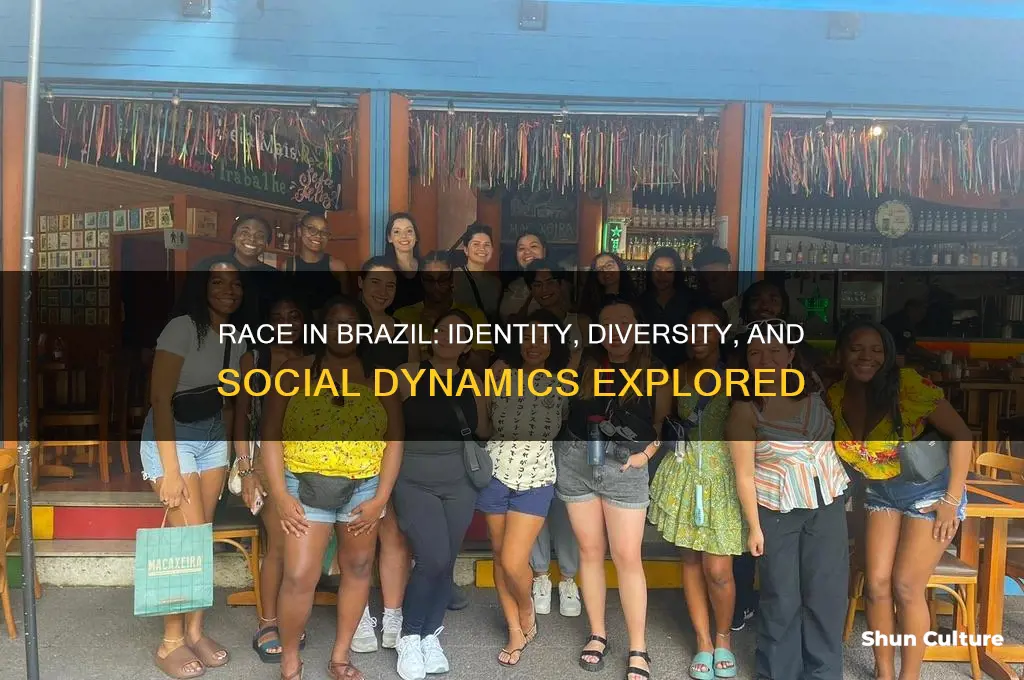 how is race characterized in brazil