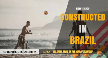 Constructing Race in Brazil: Identity, Culture, and Historical Influences