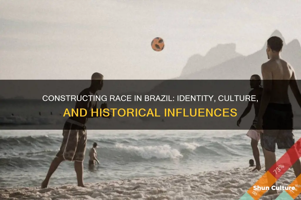 how is race constructed in brazil