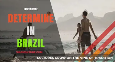Understanding Brazil's Complex Racial Classification System and Identity