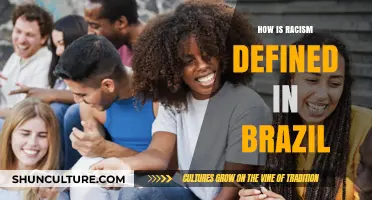 Understanding Brazil's Complex Racial Dynamics: Defining Racism in a Diverse Nation