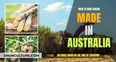 Australia's Raw Sugar Production Process Explained