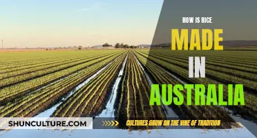 The Australian Rice-Making Process: A Comprehensive Overview