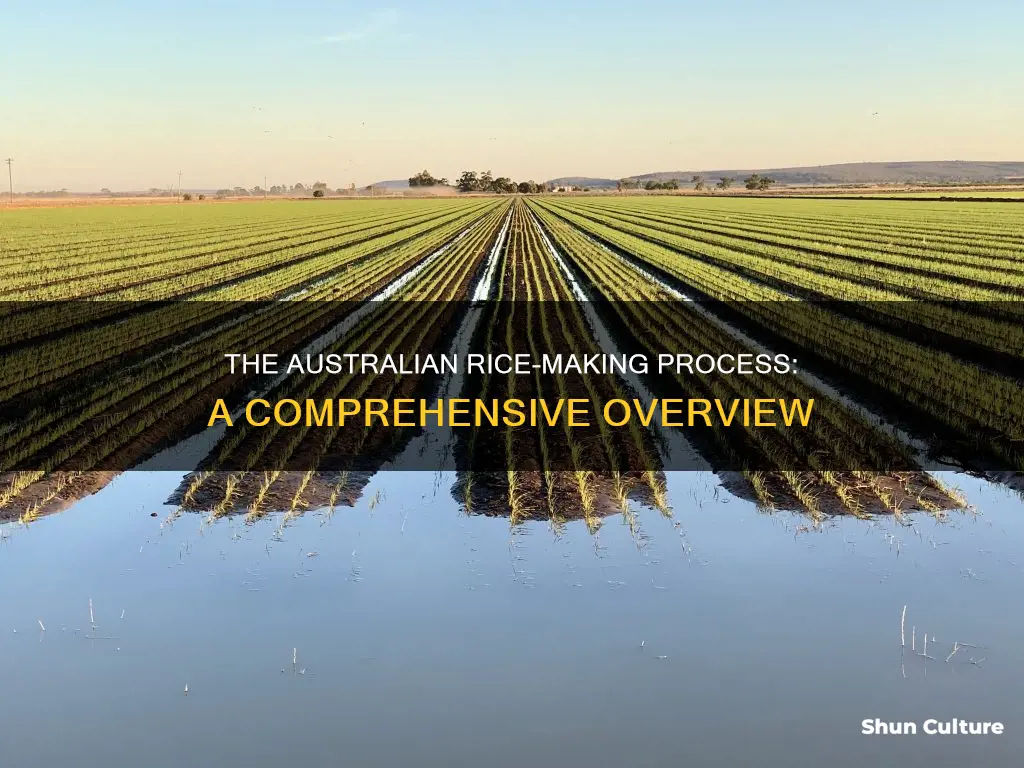 how is rice made in australia