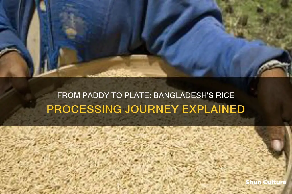 how is rice processed in bangladesh